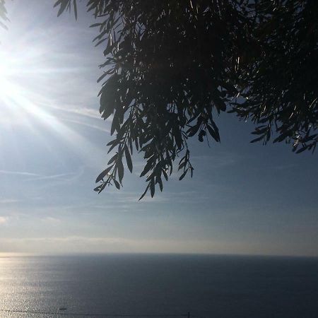 Creuza De Ma Hotel Santo Stefano al Mare Zewnętrze zdjęcie